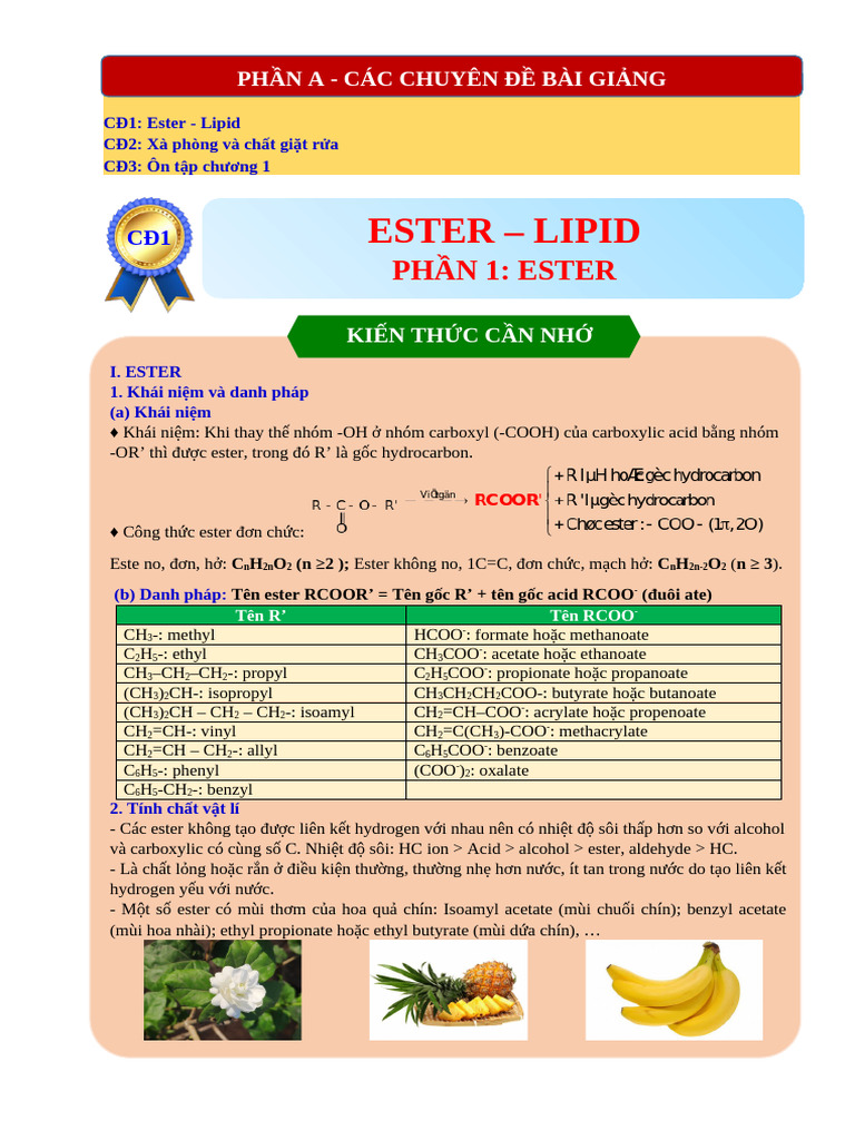 2024 - 2025. 12.1 Ester - Lipid | PDF