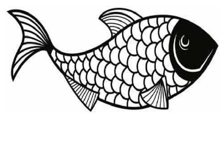 Fish | PDF