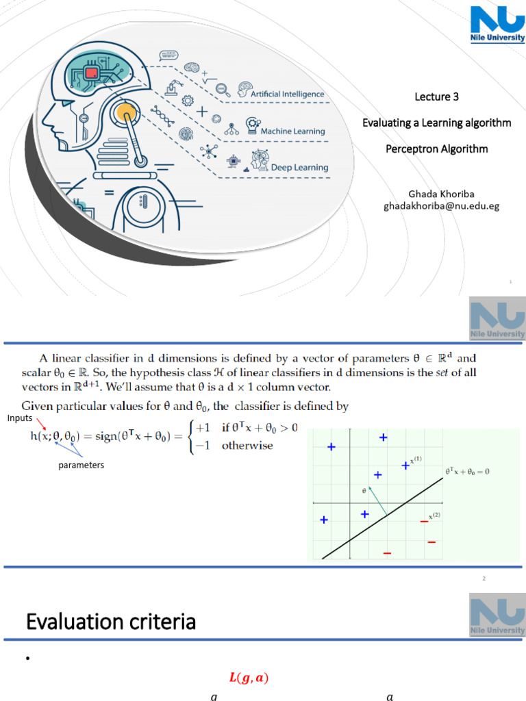 Perceptron Algorithm Evaluation | PDF | Machine Learning | Loss Function