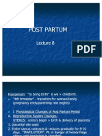 Post - Partum - Period 8 Student Version2