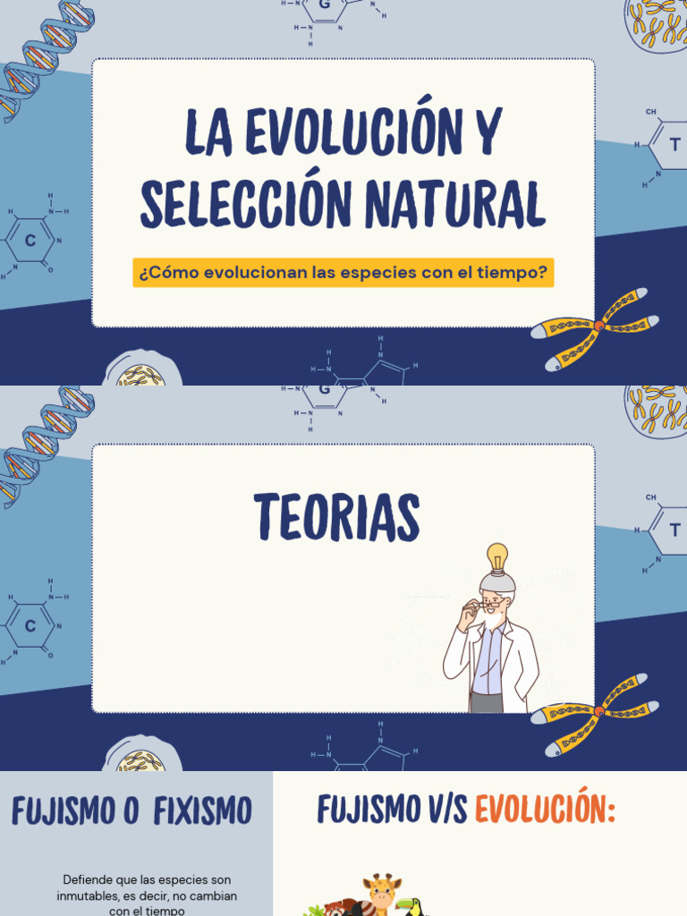 La Evolución y Selección Natural | PDF | Evolución | Seleccion natural