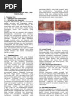 Download Topik 4 Oral Cancer by Hani Nur Hayani SN78518447 doc pdf