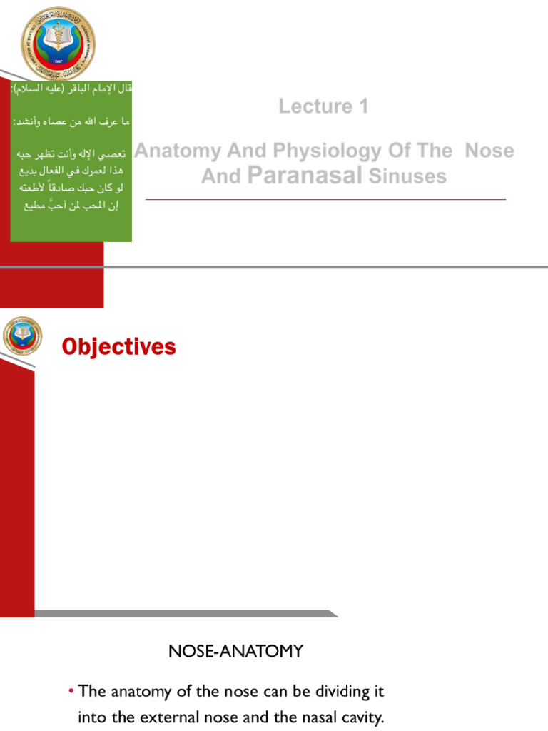 Anatomy and Trauma of the Nose | PDF | Human Nose | Diseases And Disorders