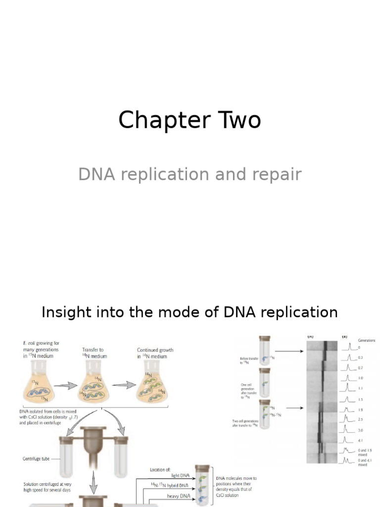 Lec Chapter 2 | PDF