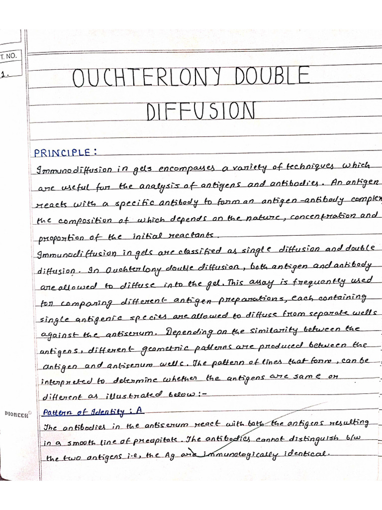 CC14 Exp2 (A) OuchterlonyDoubleDiffusion | PDF