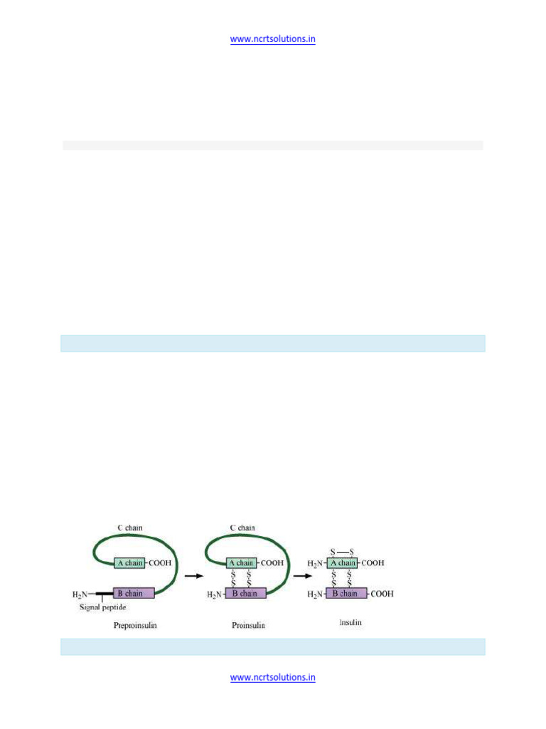 Transgenic Bacteria in Biotechnology | PDF | Molecular Cloning ...