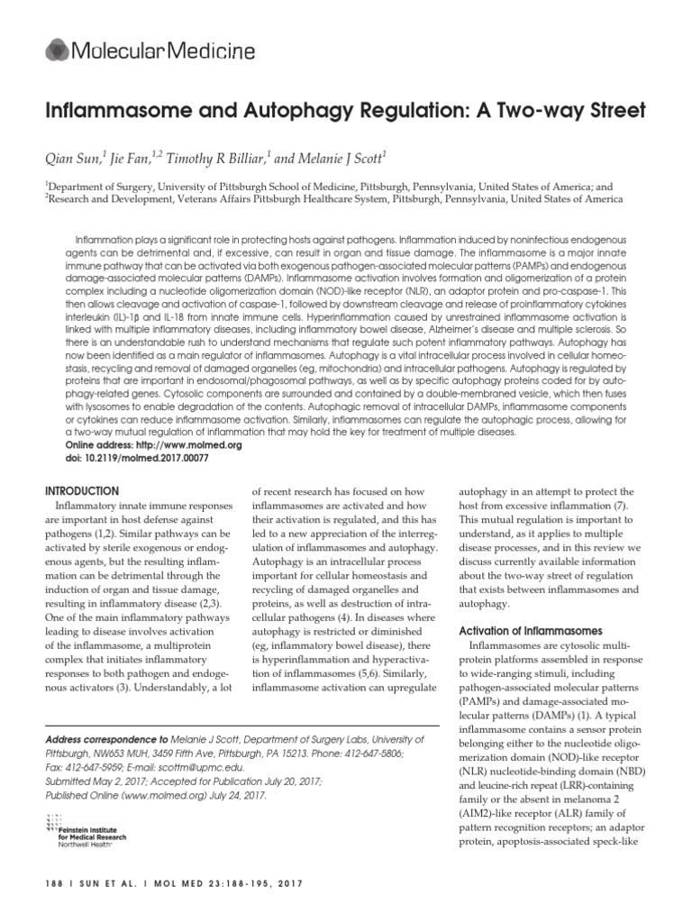Sun 2017 Inflammasome and Autophagy Regulation A Two Way Street | PDF ...