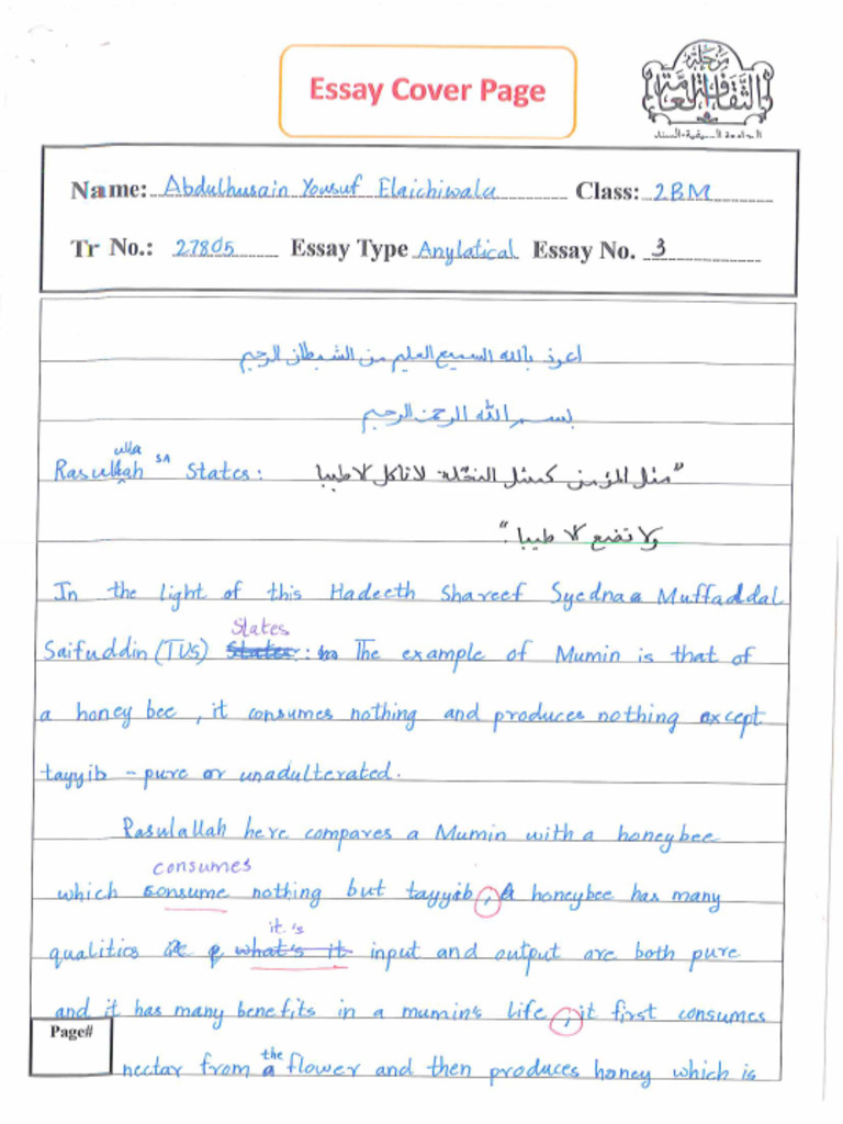 Essay 5 | PDF