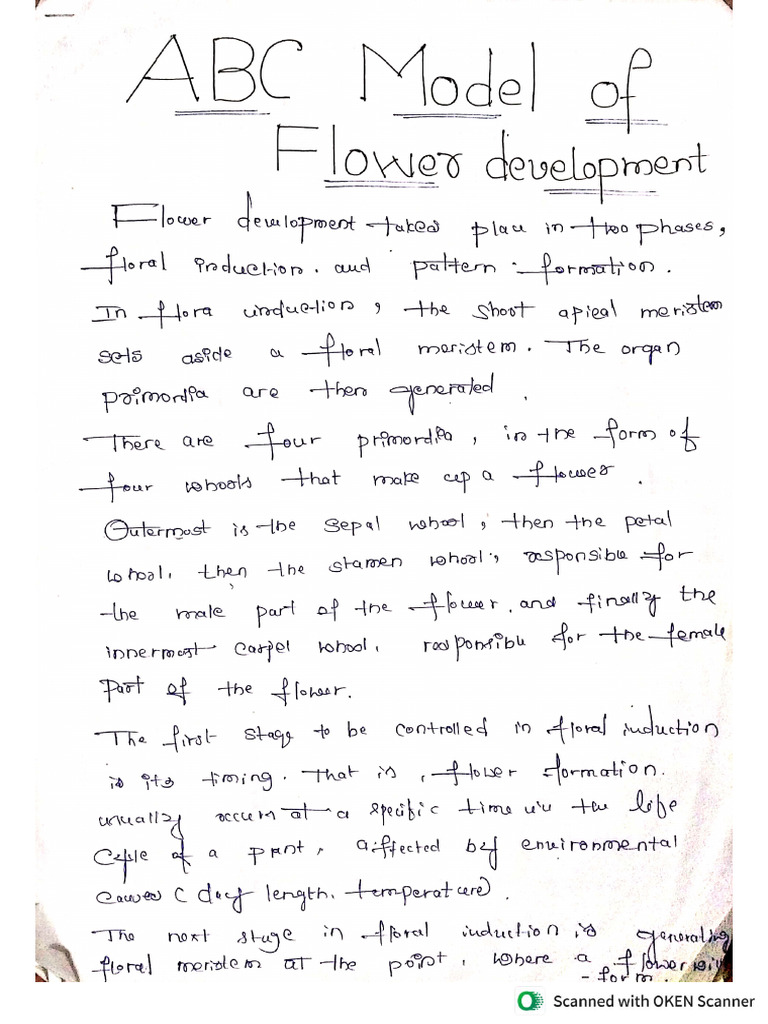 Abc Model Of Flower Development Proposed By