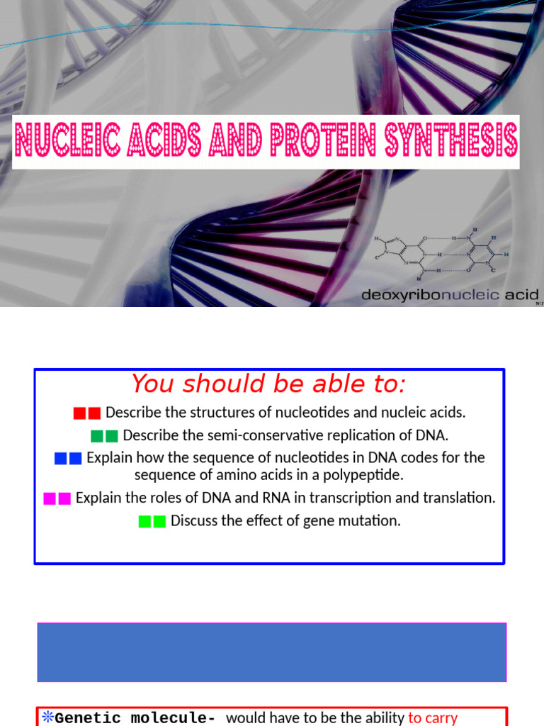 Nucliec Acids and Proteins | PDF | Rna | Nucleic Acids