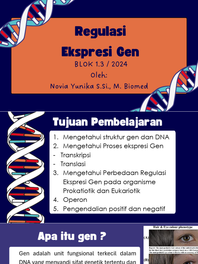 Regulasi Ekspresi Gen Eukariotik | PDF