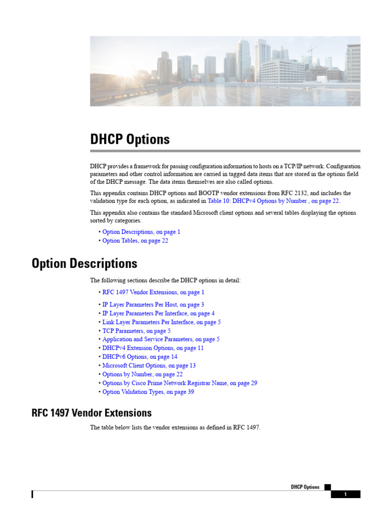 Cisco DHCP Options Overview | PDF | Data Transmission | Computer Science