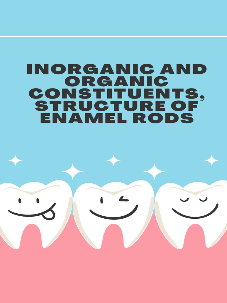 Enamel Rod Structure and Composition | PDF