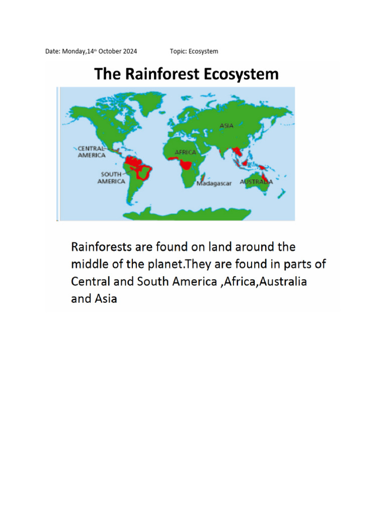 Rainforest Ecosystem 14-10-2024 | PDF
