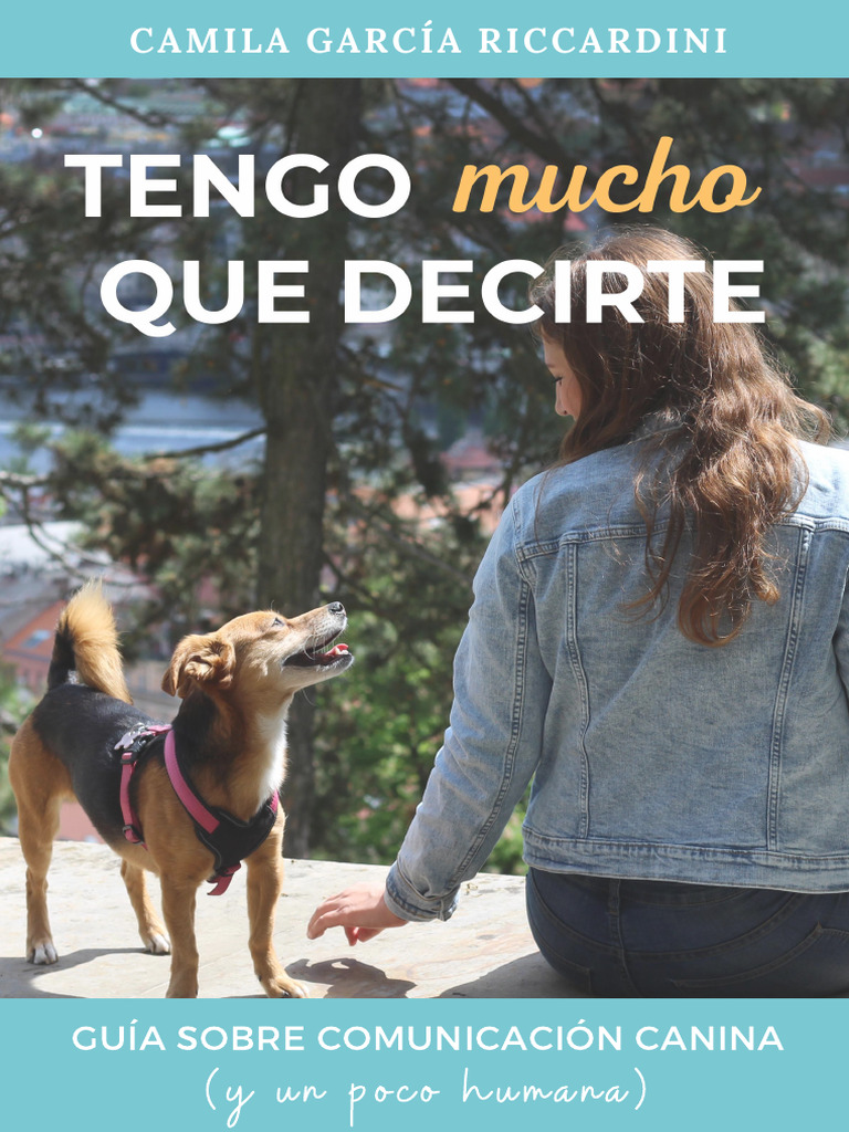 Tengo Mucho Que Decirte 6ki6ia | PDF | Comunicación | Percepción visual
