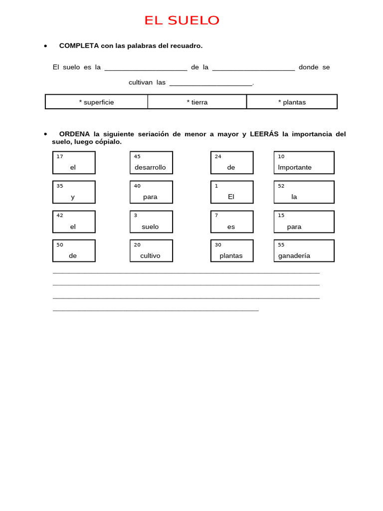Actividades sobre el suelo para primaria | PDF | Suelo | Materiales