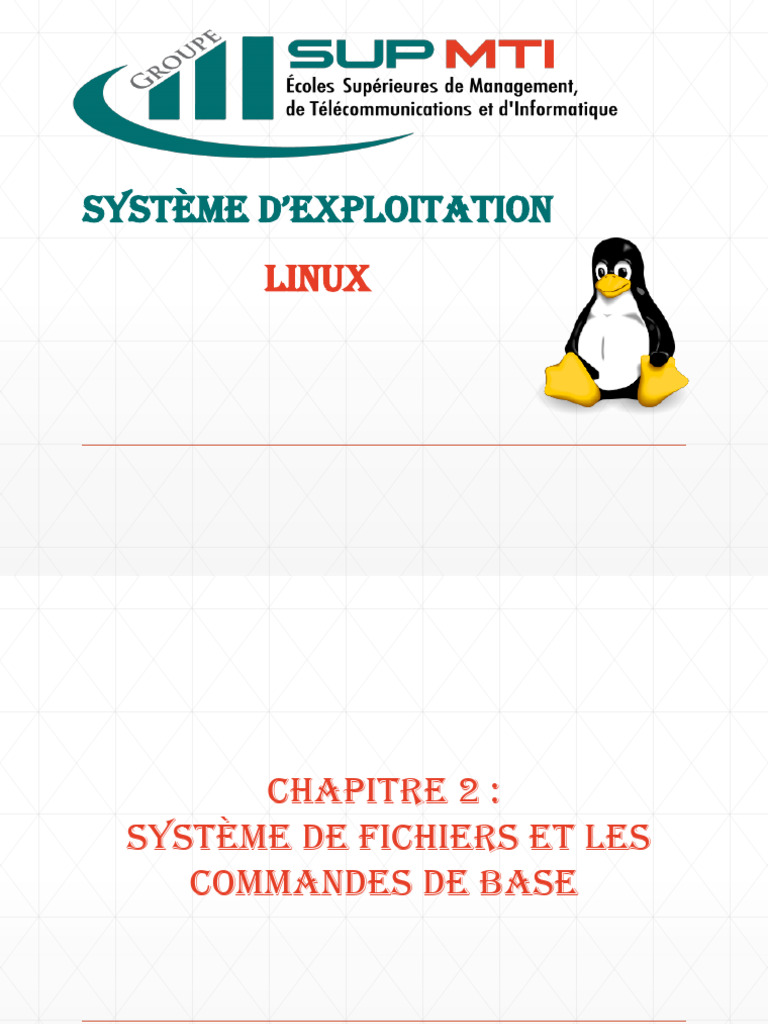 Commandes de base Linux et fichiers | PDF | Fichier informatique ...