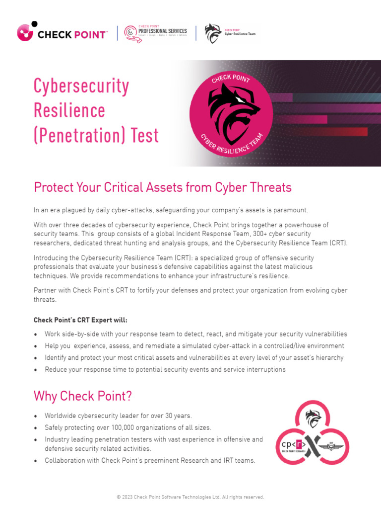 Igs Penetration Testing Datasheet Pdf Security Computer Security
