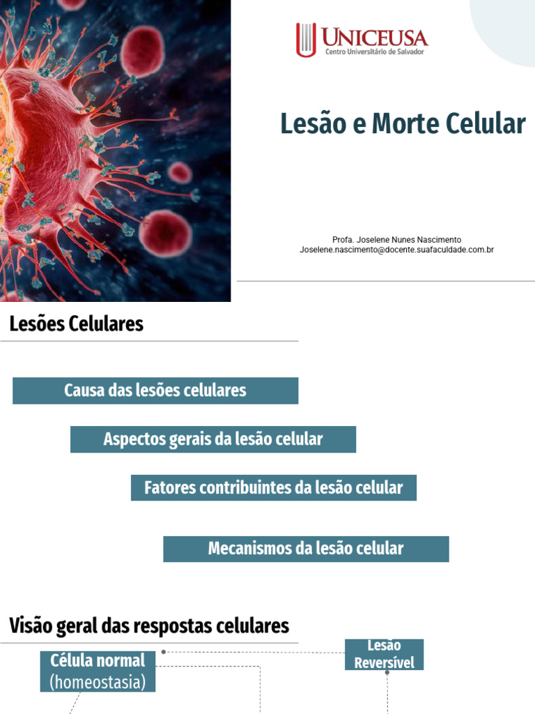Mecanismos da Lesão e Morte Celular | PDF | Apoptose | Célula (Biologia)