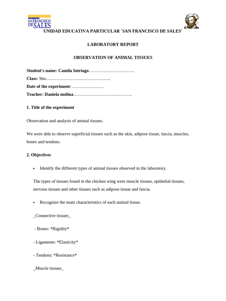 Animal Tissue Observation Report | PDF | Tissue (Biology) | Connective ...