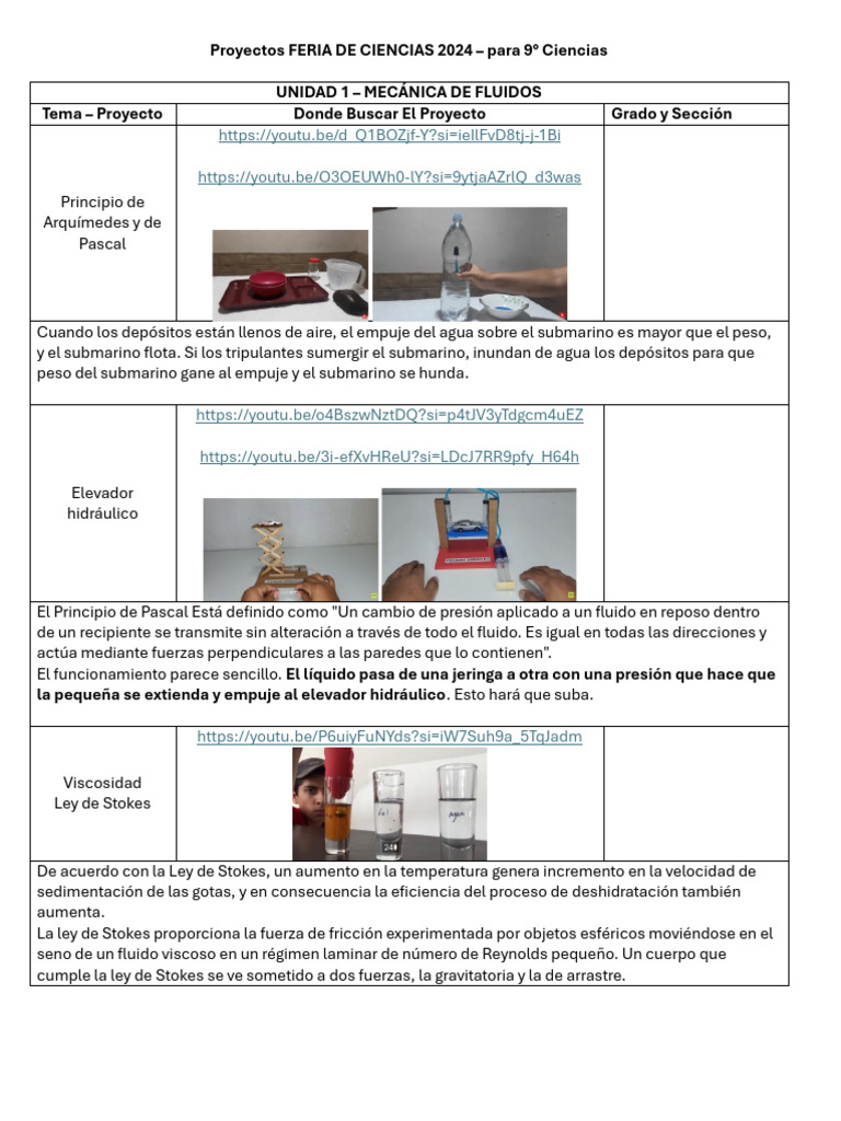 Proyectos Feria de Ciencias 2024 | PDF | Imán | Campo magnético