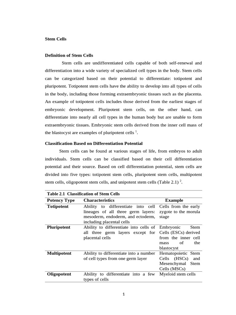 Understanding Stem Cell Types and Functions | PDF | Cell Potency | Stem ...
