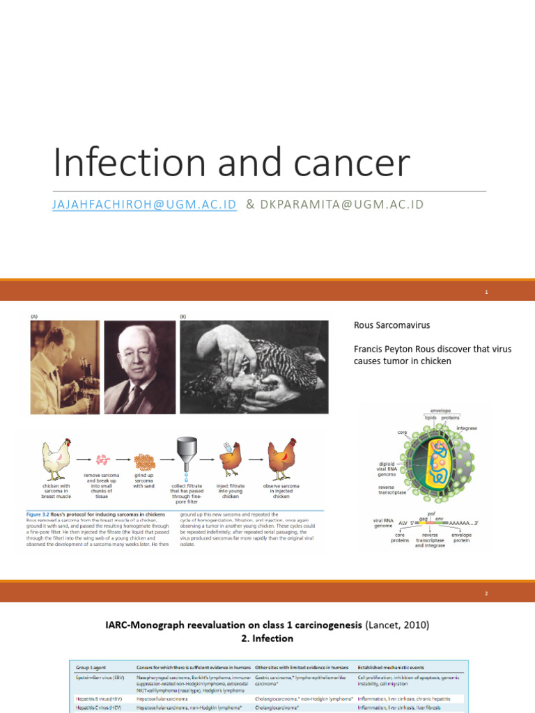 Infection and Cancer 2020 | PDF | Retrovirus | Carcinogenesis