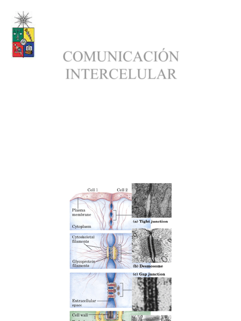 Comunicación Intercelular y Señalización | PDF | Transducción de ...