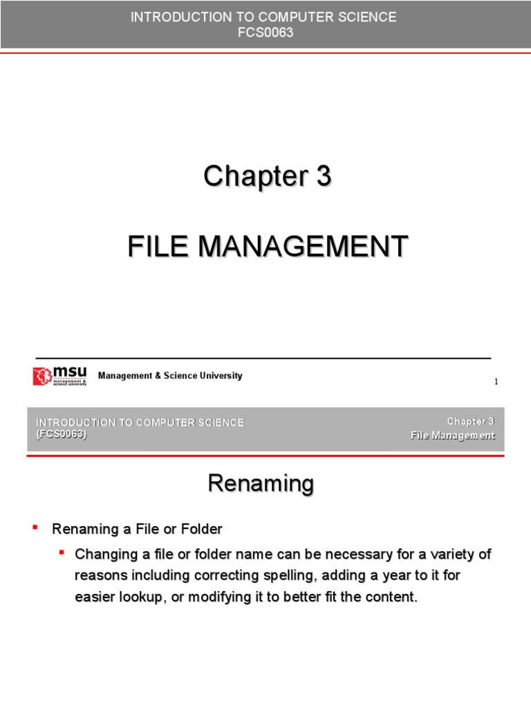 File Management Techniques in Computer Science | PDF | Computer File ...