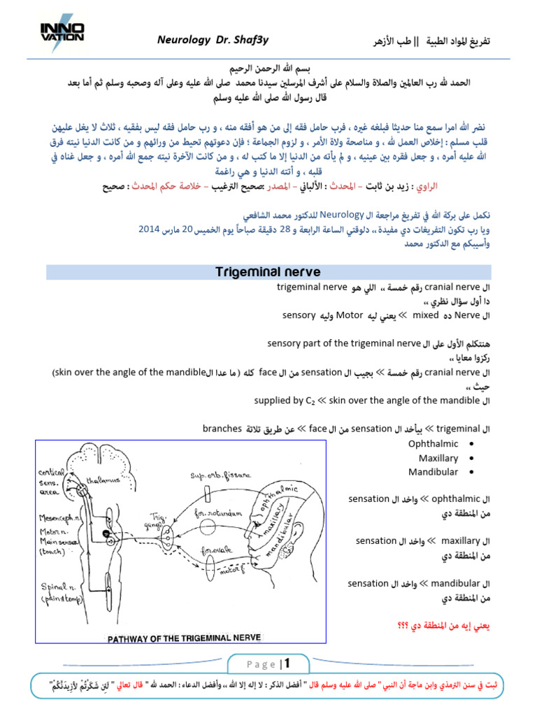 Neuro 2 Part 2 | PDF | Human Anatomy | Nervous System