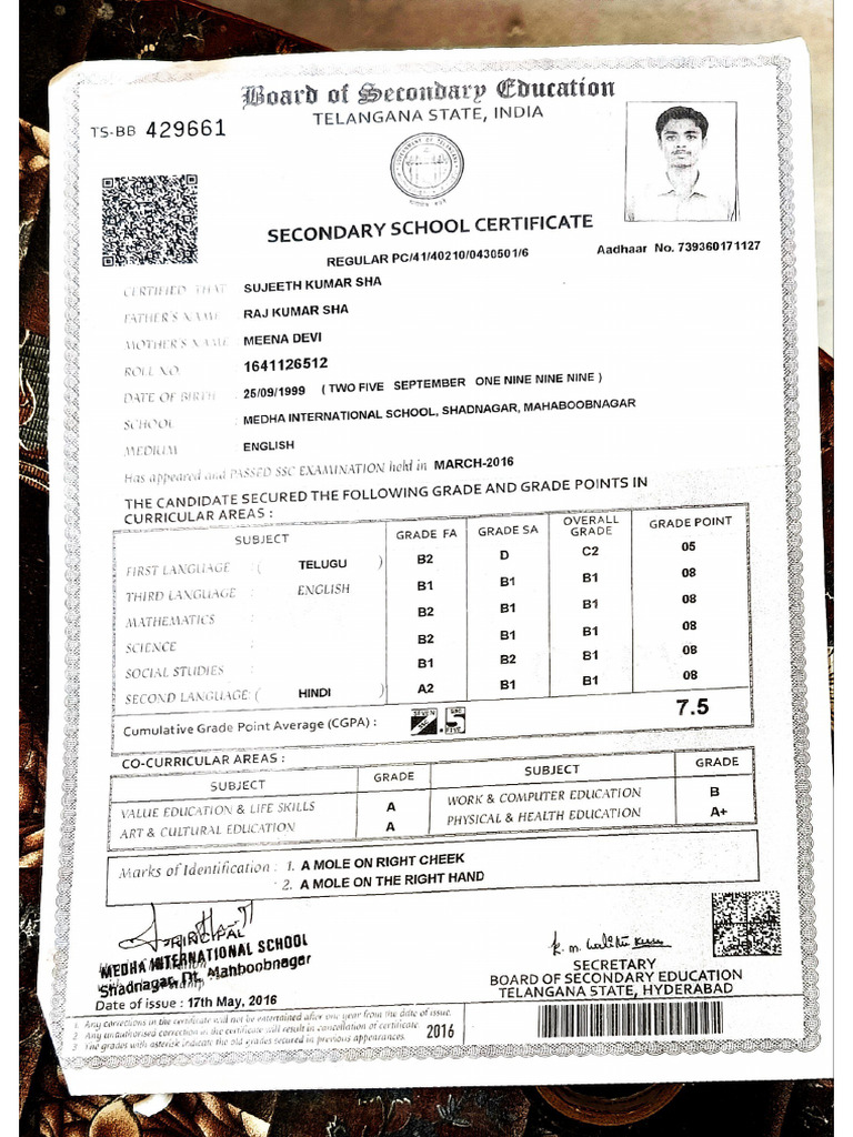School | PDF