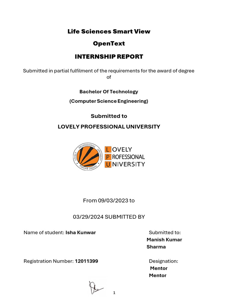Internship Report 12011399 | PDF | Software Development | Information ...