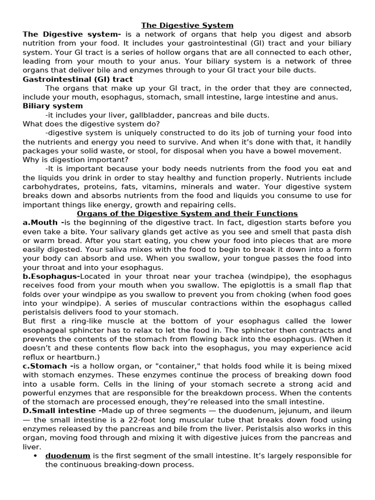 Overview of the Digestive System | PDF | Human Digestive System | Small ...