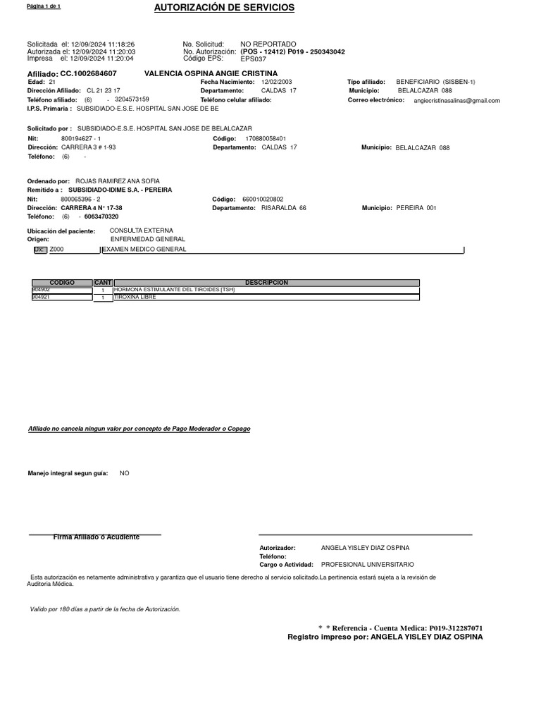 (Pos) P019-312287071 | PDF | Tiroides | Sistema endocrino