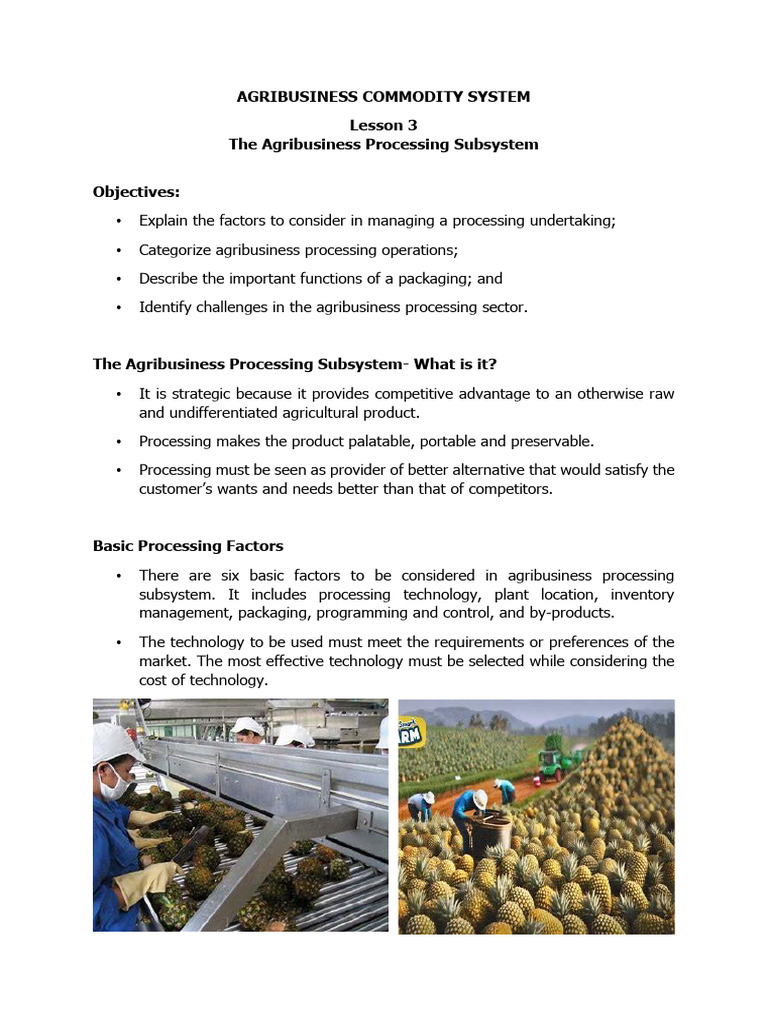 Lesson 3 Processing Subsystem | PDF | Food Industry | Economies