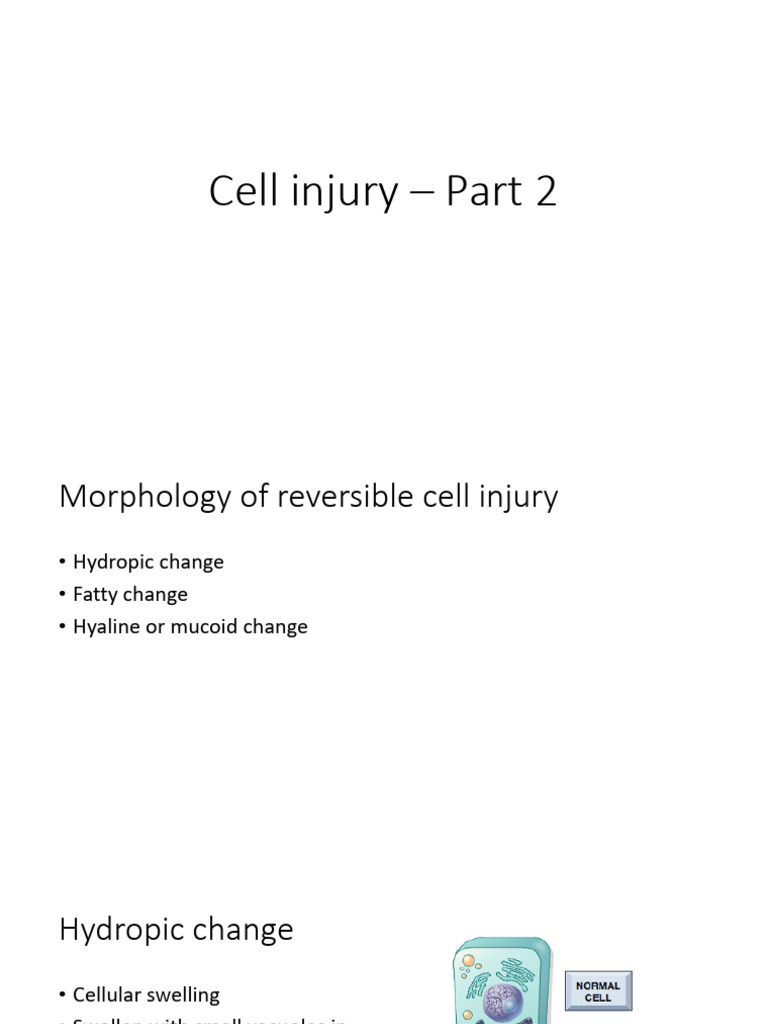 Cell Injury Part 2 | PDF | Wellness