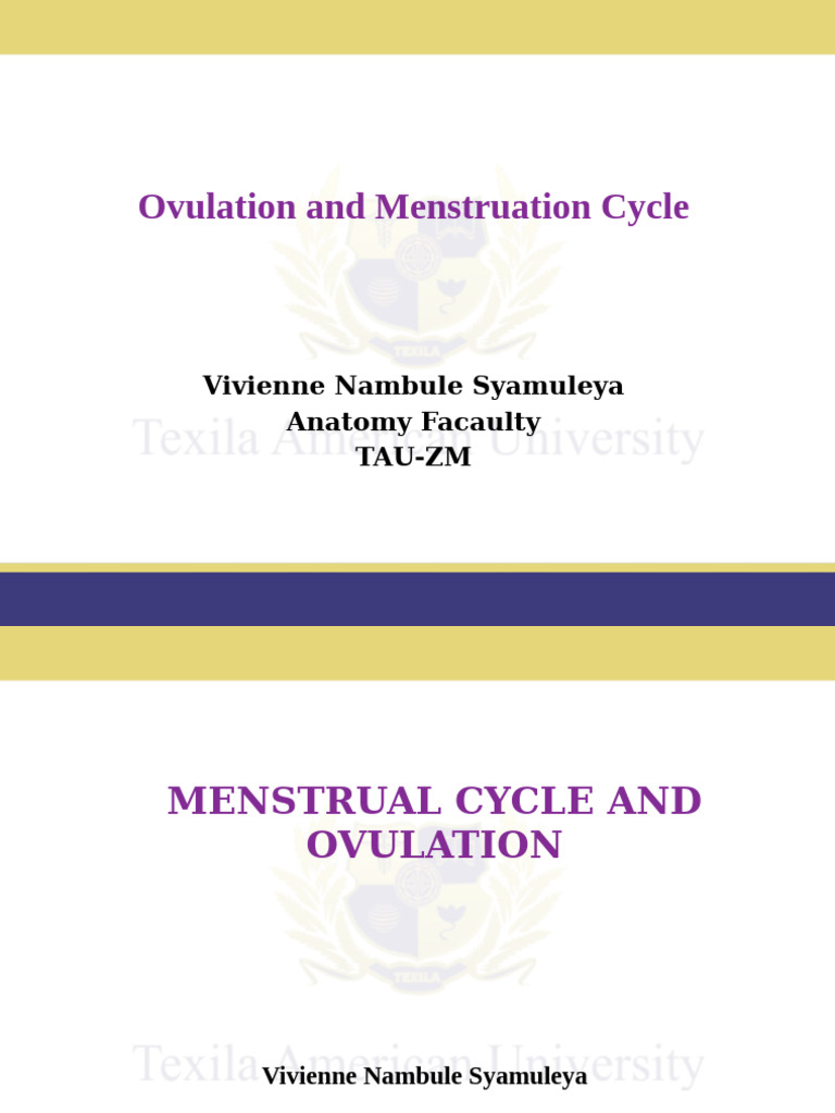 Menstrual Cycle and Ovulation Overview | PDF | Menstrual Cycle | Ovary