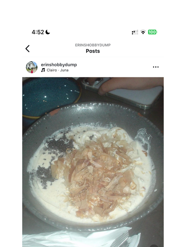 Food Log | PDF