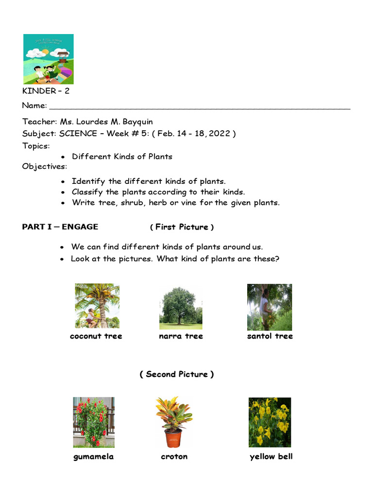 3rd Qtr. Wk.5 Science Feb. 14 18 | PDF | Shrub | Trees