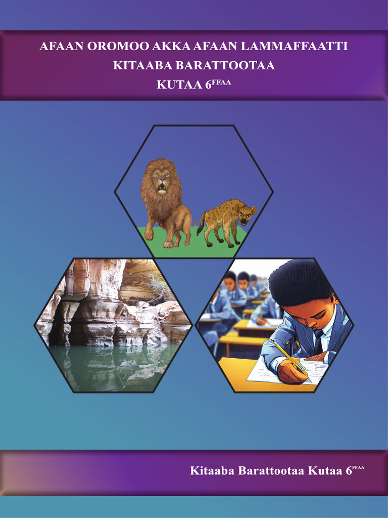 A O Grade 6 | PDF