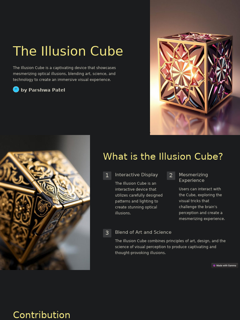 The Illusion Cube | PDF | Illusion | Perception
