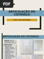 Fratura Do Olecrano e Processo Coronoide | PDF | Cotovelo | Medicina ...