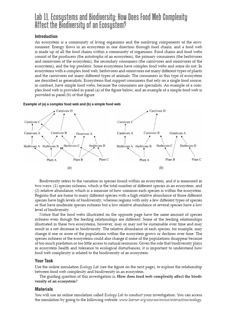 Lab11studenthandout Ecosystemsandbiodiversity Pdf Food Web Ecosystem