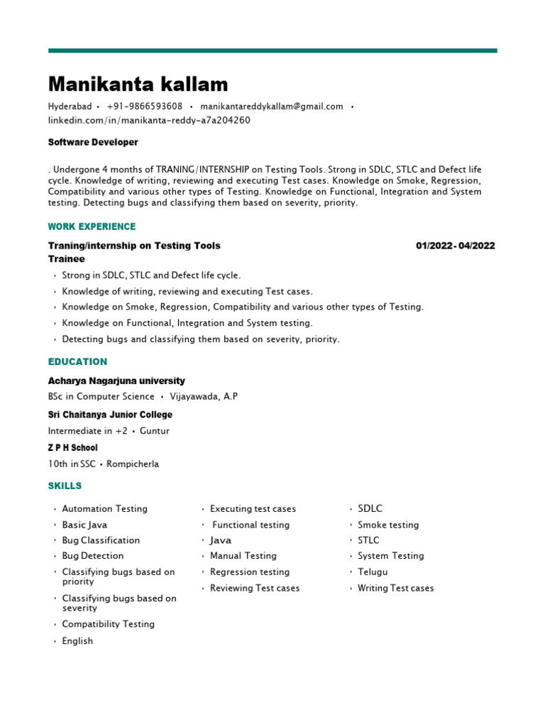 Software Developer with Testing Expertise | PDF