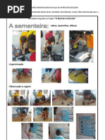 ATIVIDADES DESENVOLVIDAS - 1-º período