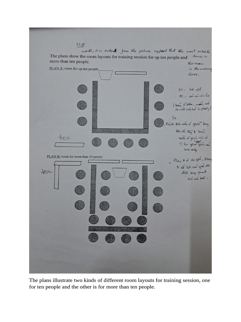 Task 1 Room Skeletal Systems And Process Horse Pdf Homo Pelvis