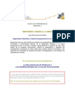 Guía de Aprendizaje Semana 1 Seguridad y Salud