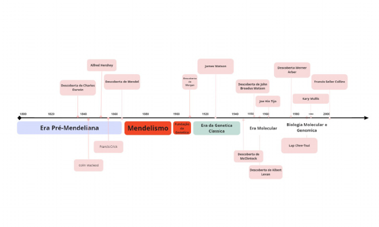 Timeline Template | PDF