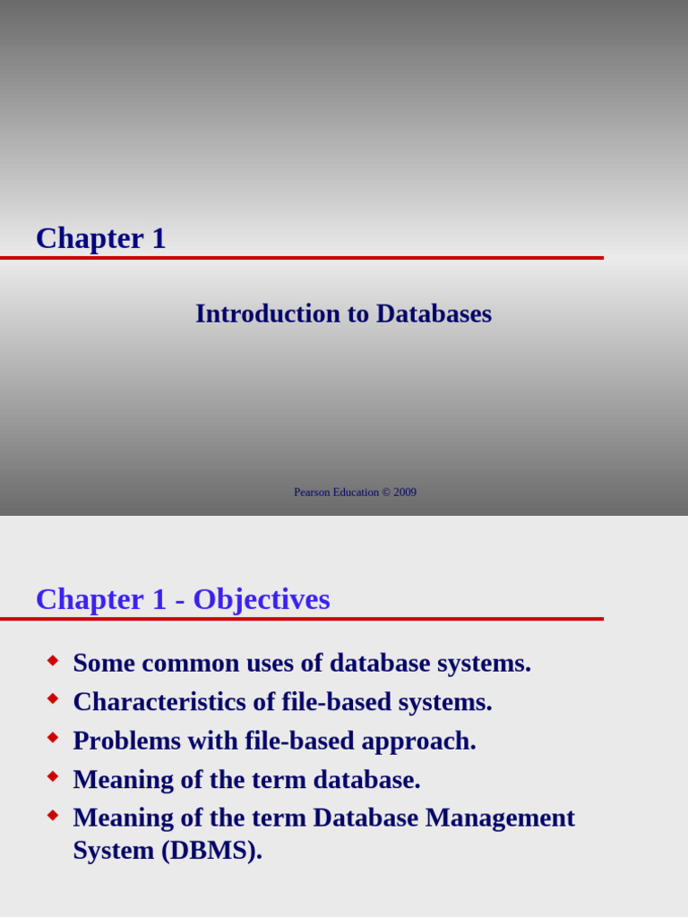 CH 01 | PDF | Databases | Relational Database