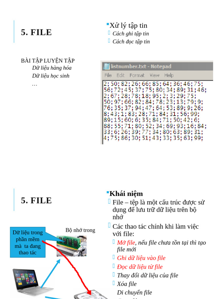 C5 - File | PDF